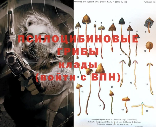 ешки Семилуки