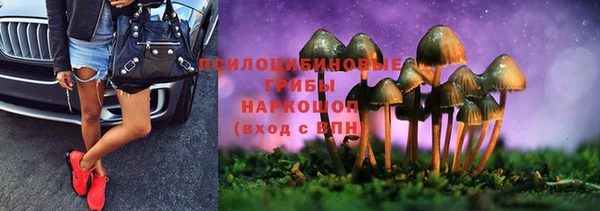 соль ск Ростов
