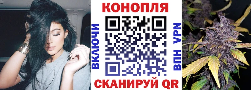 Бошки марихуана Bruce Banner  купить наркотик  Октябрьск 